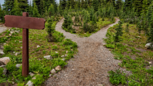 Stay On Trail - Climbing Outdoors for the First Time - Simian Republic